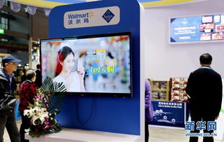 进博会服务贸易展区概览 教育咨询服务亮点解析